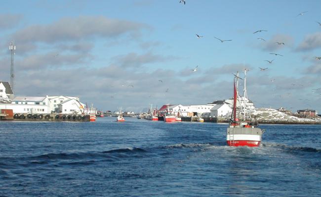 Fiskeskøyter ved Røst utenfor Lofoten. Skreifisket i Norge foregår fra januar til april da torsken svømmer fra Barentshavet i nord inn til norskekysten for å gyte. (Foto: Redningsselskapet).  Fiskeskøyter ved Røst utenfor Lofoten