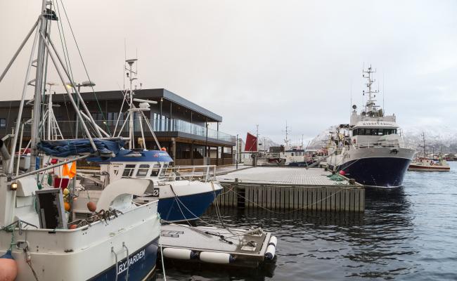 Torsketrålere på Myre 2017. Foto: Thor Nielsen. Torsketrålere på Myre 2017. Foto: Thor Nielsen.
