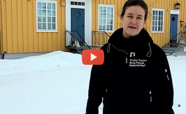 Anne Wikan Youtube. Anne Wikan Youtube.