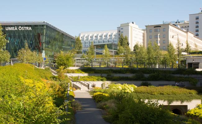 Norrlands universitetssykehus i Umeå