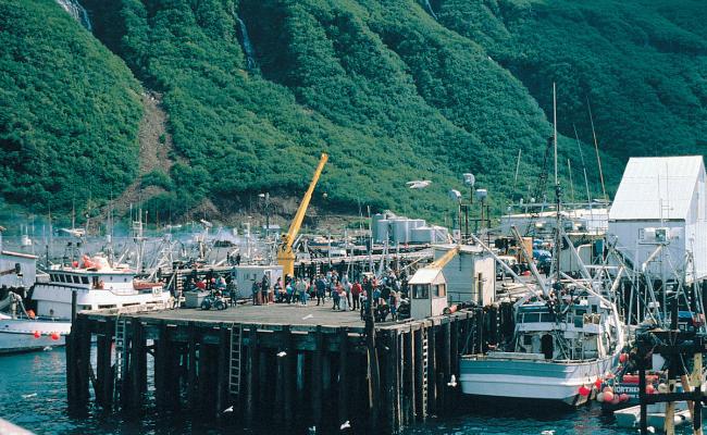 Harbor in Alaska Harbor in Alaska