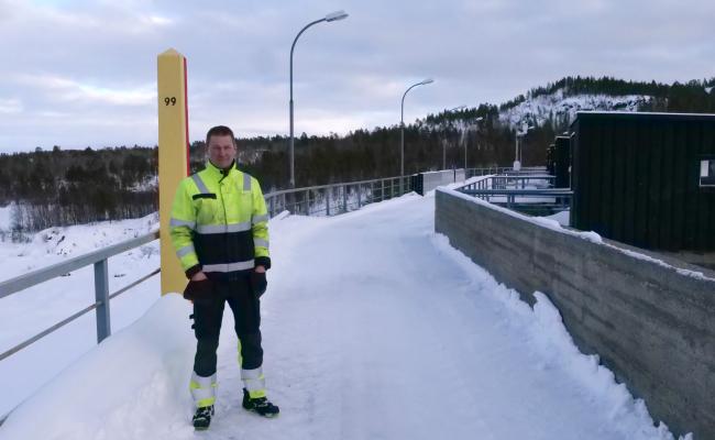 Skogfossdammen med Lande