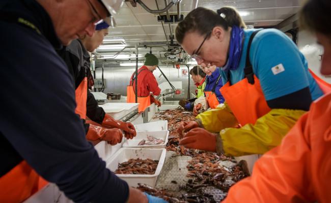 Økosystemtokt i Barentshavet 2018, med &quot;G.O. Sars&quot;