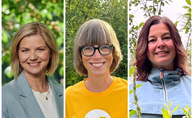 Melby, Johnsen, Dahl. Venstre
