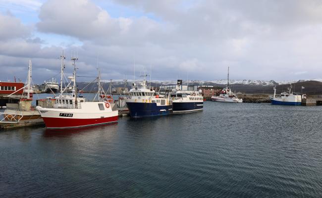 Fiskebåter til kai i Båtsfjord