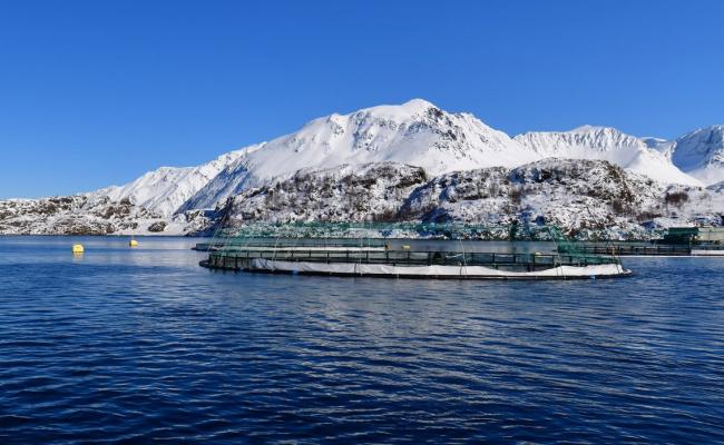Oppdrettsanlegg i Nord-Norge