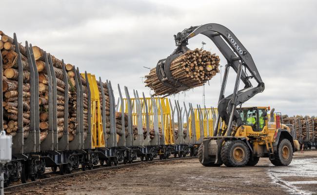 Foto: Emil Nordin/Skogsindustrierna Foto: Emil Nordin/Skogsindustrierna