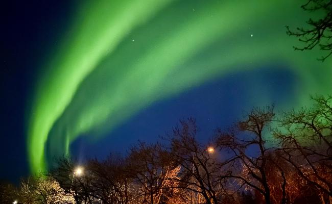 Nordlys Bodø.