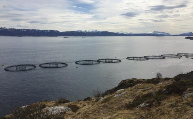 Mitt råd til Storting og regjering er; dropp grunnrenteskatten! Finn frem til ordninger som er bra for fellesskapet og bra for næringa, skriver ordfører Siv Dagny Aasvik i Hadsel. (Foto: Linda Storholm)
