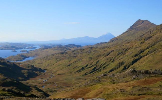 The Aleutian islands are known for wind, rain and a lack of trees. The islands turn emerald green in the summer