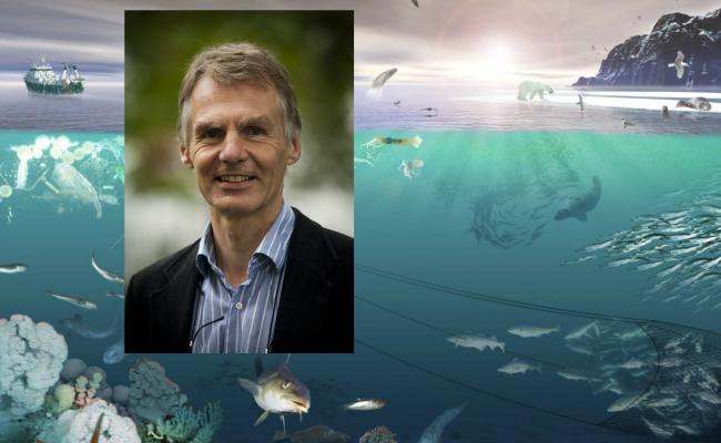 Professor of Law Geir Ulfstein at the University of Oslo