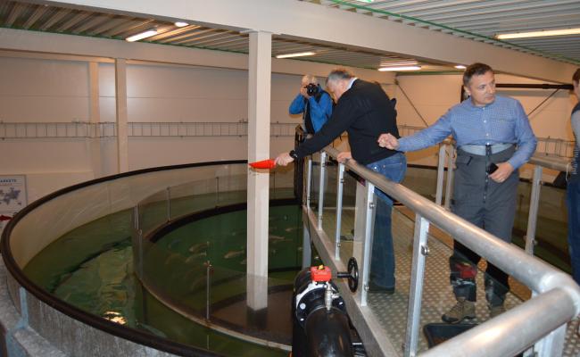 Drozdenko, Aleksandr, Salmon Center, Inndyr