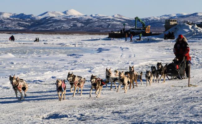 Aliy Zirkle fra Alaska kniver for øyeblikket med veteranen Jeff King, også han fra Alaska, om førsteplassen i årets Iditarod. Foto: Arne O. Holm