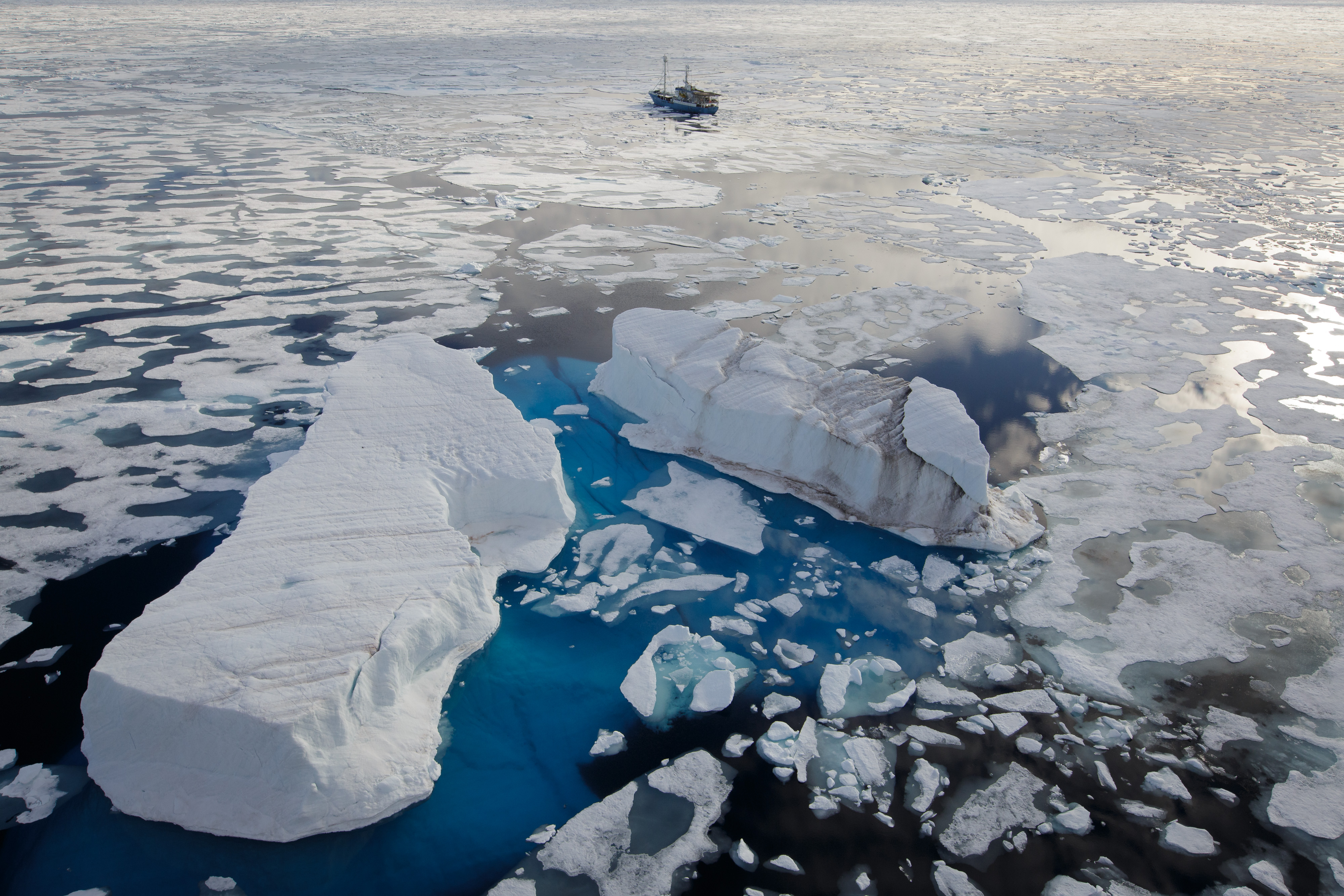 RV Lance i isen, nord for Svalbard under isbjørntellingen på norsk side i august. (Foto: Nick Cobbing)