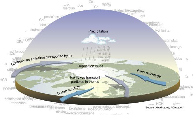 Pathways of mercury into the Arctic region. (Credit: Hugo Ahlenius, UNEP/GRID-Arendal)