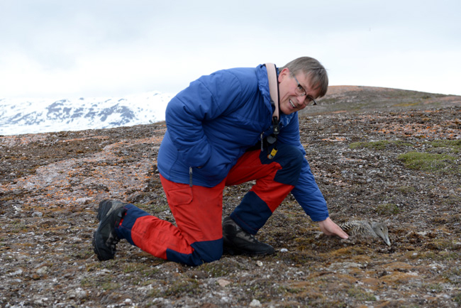 Researcher Geir Wing Gabrielsen at the Norwegian Polar Institute has observed plastic as an extensive and increasing problem. It often leads to birds dying from starvation with their stomach full of non-digestable plastic. (Photo: The Fram Cent Centre)