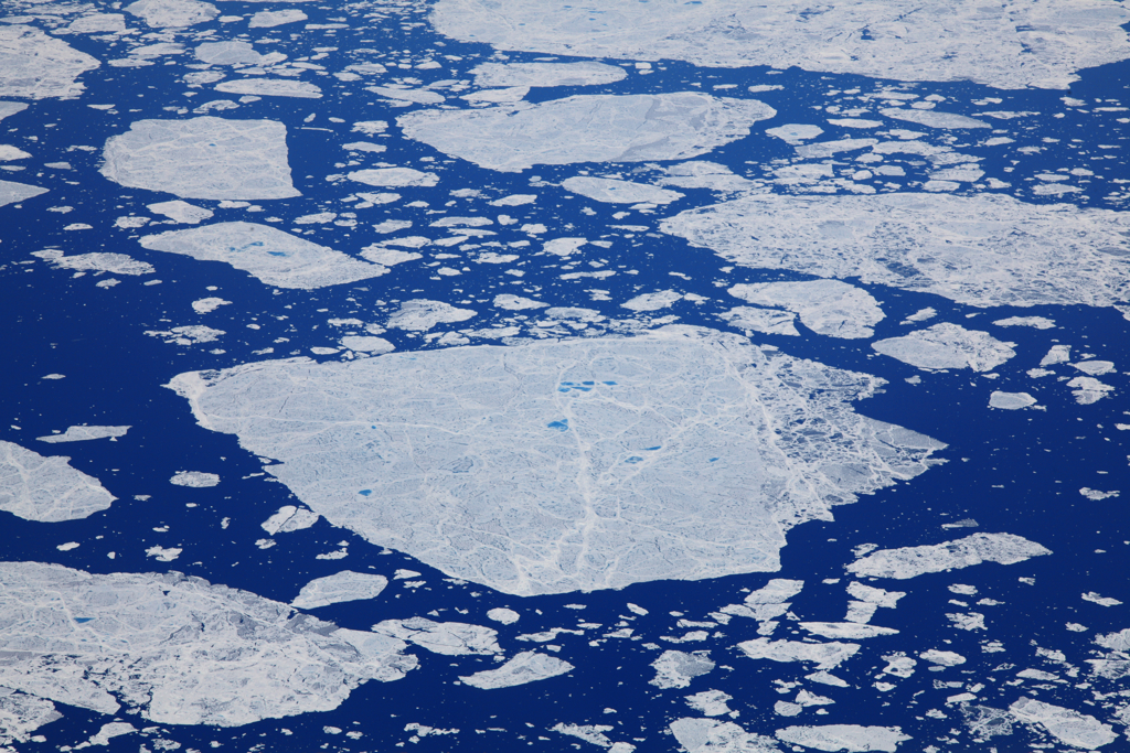 Ice floes off the east coast of Baffin Island. The world’s oceans have absorbed the vast majority of the heat produced by human activities, leading to changes in the Arctic ocean ecosystem. (Flickr/George Grinsted, CC BY-SA 2.0)