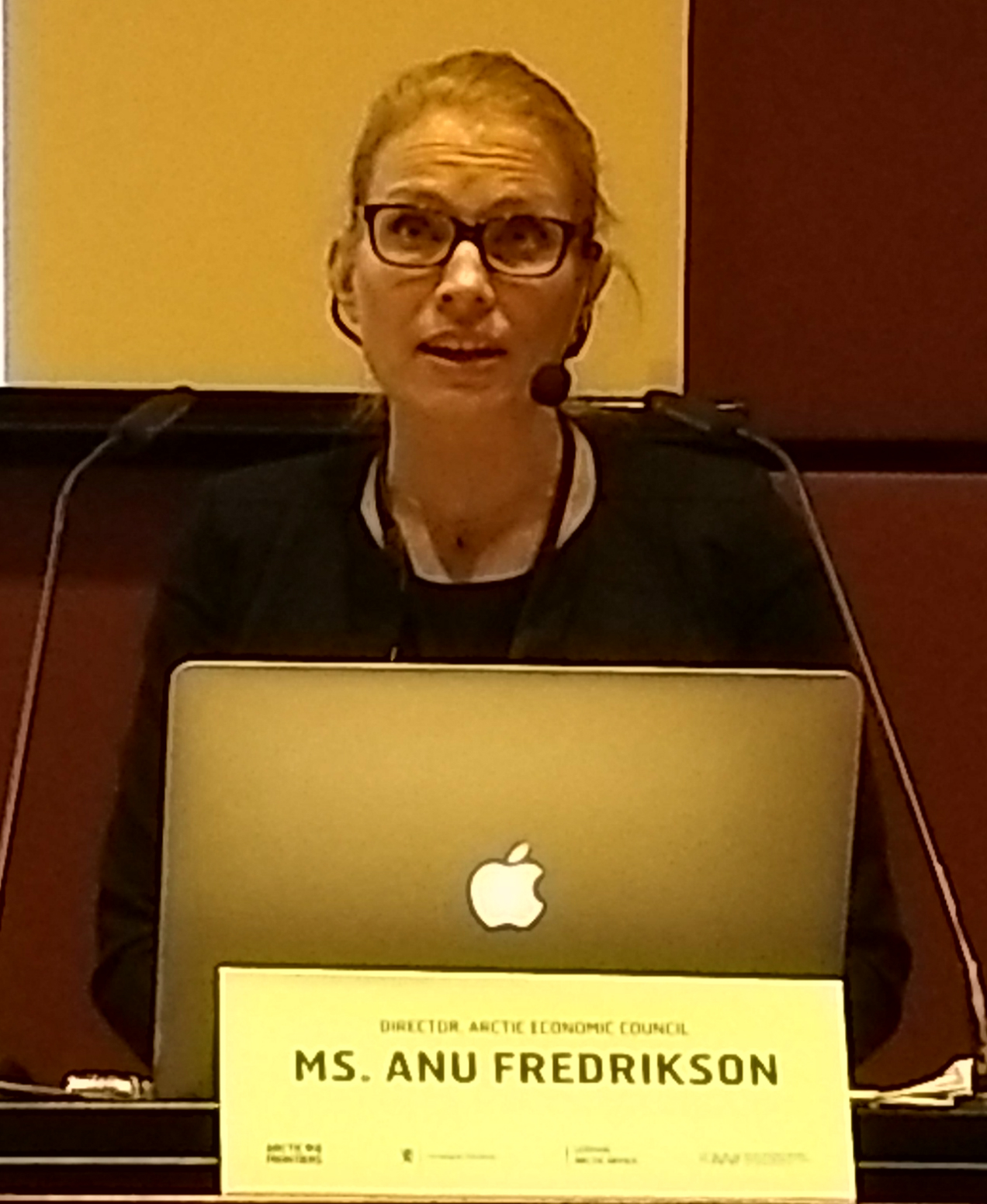 Anu Fredrikson, Director of the Arctic Economic Council. (Photo: Kathrin Stephen)