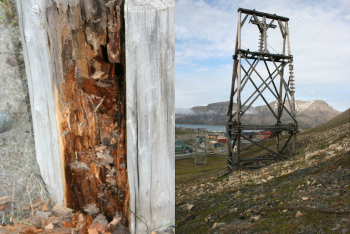 The rot fungi that appears to be most active in construction materials on Svalbard starts at the centre of the woodworks and works its way out towards the surface. The picture shows a wooden pole that rotten through on the inside. What is left, is a few millimeters of healthy wood in the lower part of the pole. The area near the ground is most endangered. Higher up, it is too dry for the fungi to grow, and down in the ground it’s too cold. The cableway work stands in Longyearbyen are based on wooden poles
