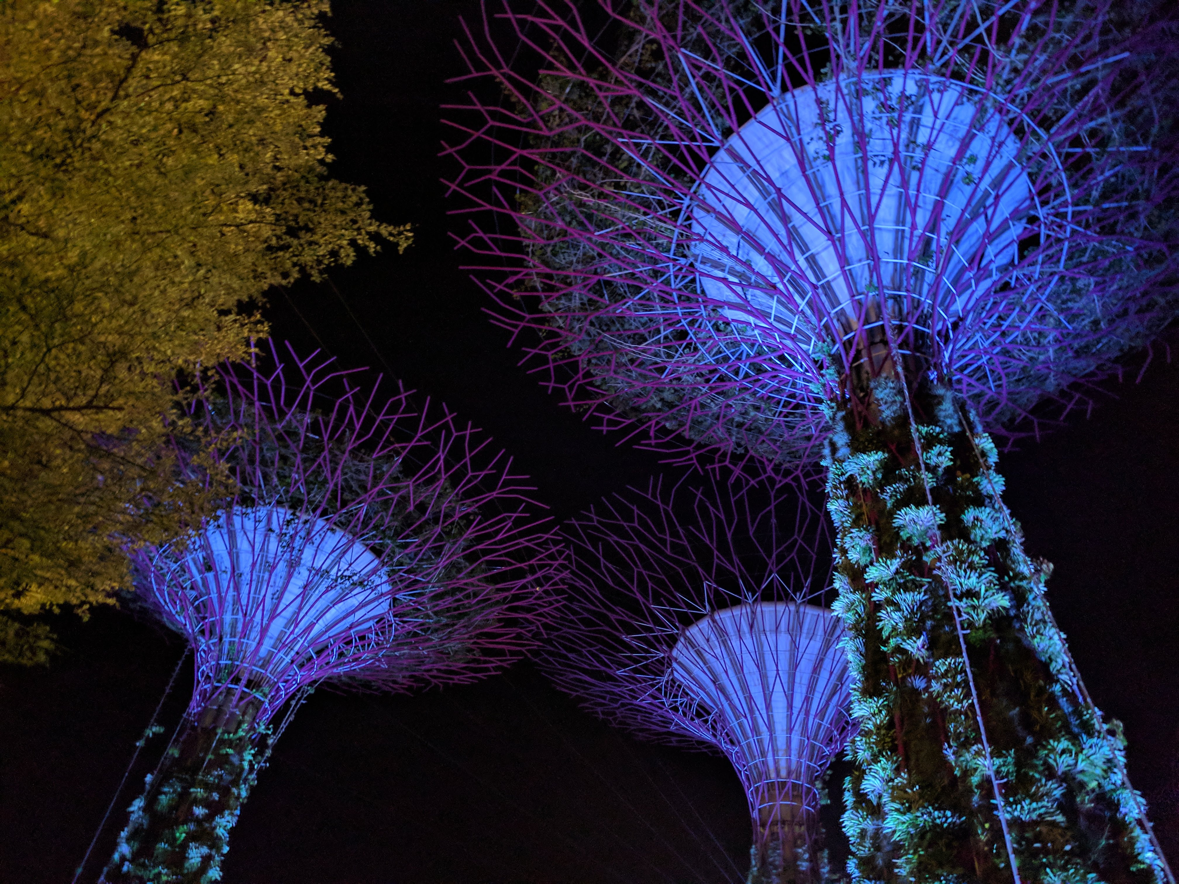 Singapore’s Gardens by the Bay are home to solar powered “supertrees” (Photo credit: Gregory Sharp)